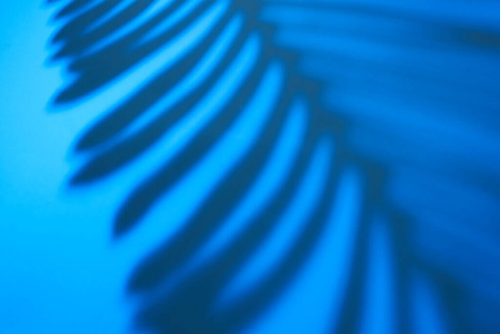 Beautiful Fern Leaves Shadow Colored In Artificial Li